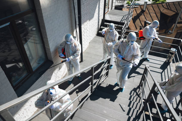 Best Mold Removal for HVAC Installations  in Oakley, UT