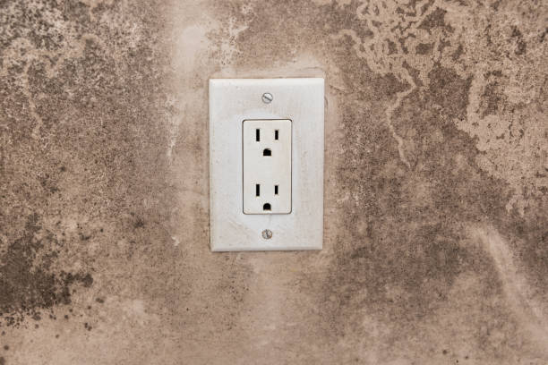 Best Mold Prevention Services  in Oakley, UT