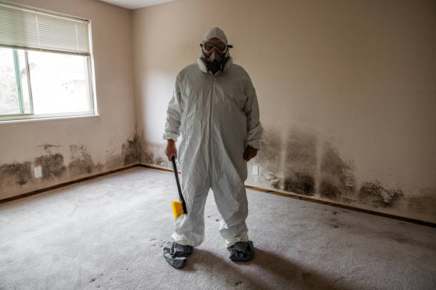 Best Airborne Mold Testing  in Oakley, UT